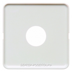 Berker Центральная панель для шинного соединительного элемента с отверстием для штыря цвет: полярная