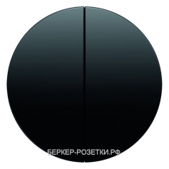 Выключатель 2-клавишный, цвет Черный, Berker R.1/R.3